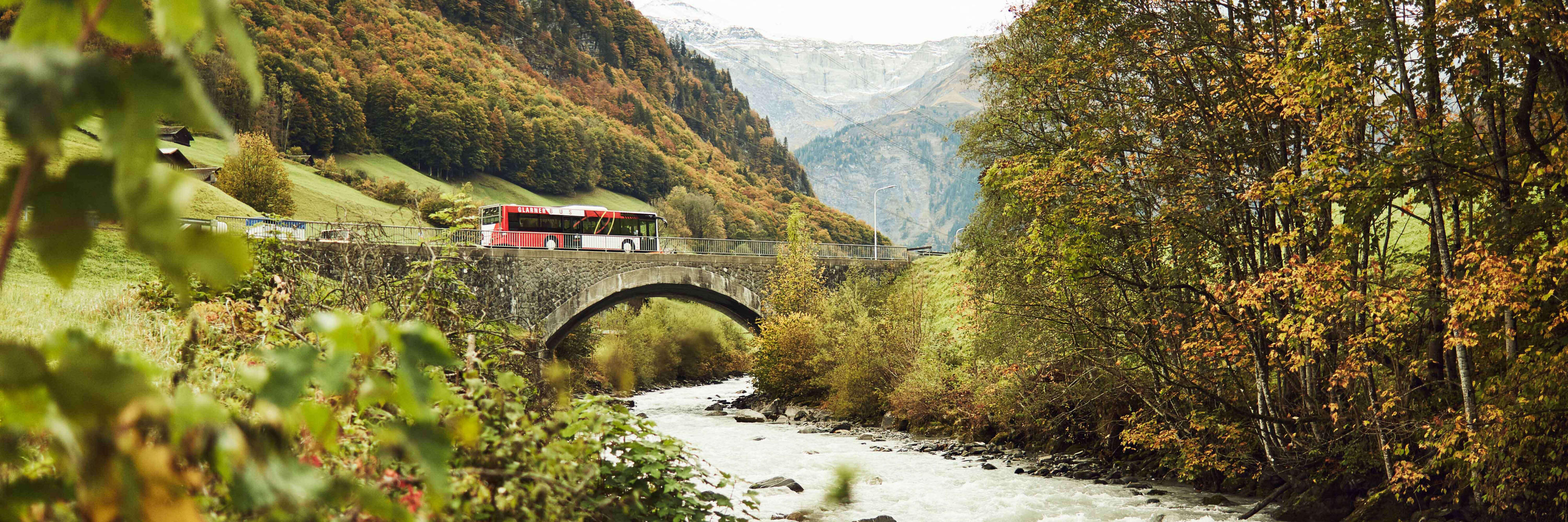 Single & multi-trip tickets